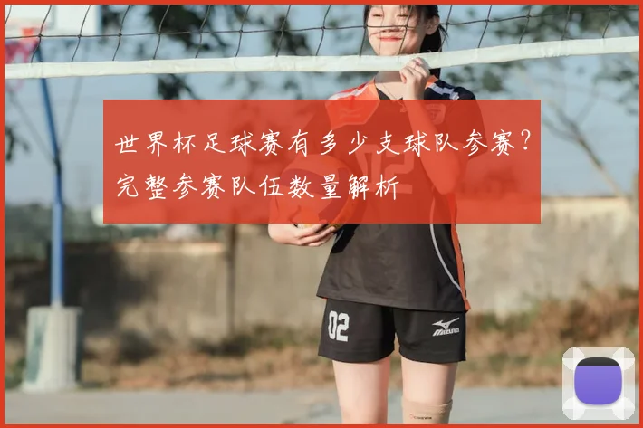 世界杯足球赛有多少支球队参赛？完整参赛队伍数量解析